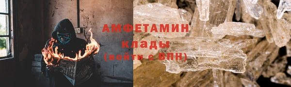 спиды Пересвет