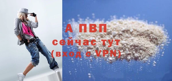 спиды Пересвет