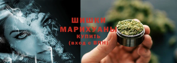 спиды Пересвет