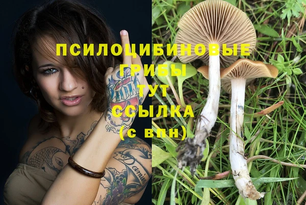 спиды Пересвет