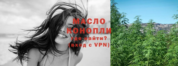 спиды Пересвет