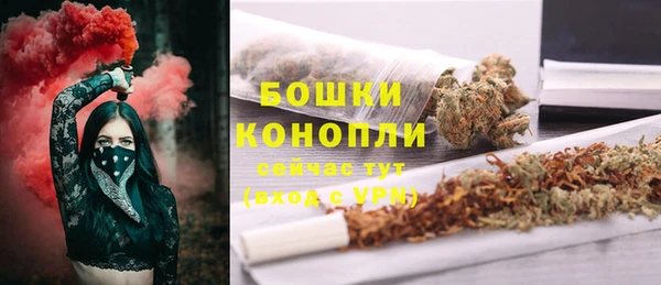 спиды Пересвет