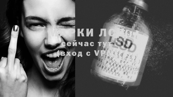 спиды Пересвет