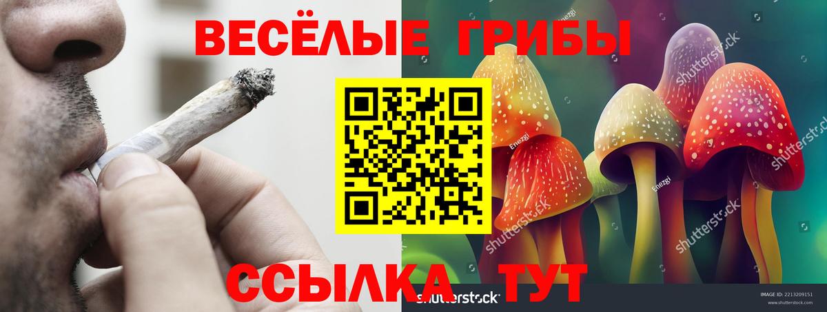 Советский  Галлюциногенные грибы ЛСД  Вход с VPN 